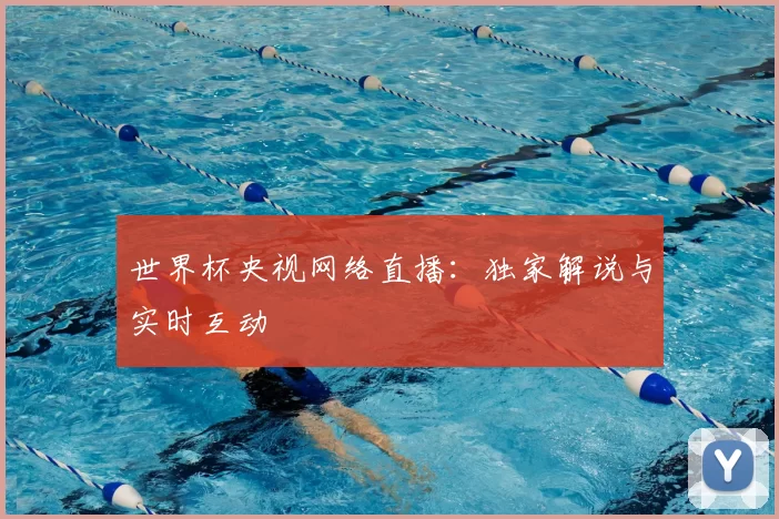 世界杯央视网络直播：独家解说与实时互动