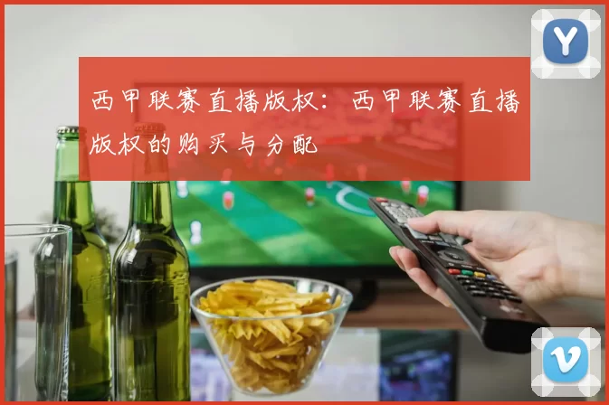 西甲联赛直播版权:西甲联赛直播版权的购买与分配