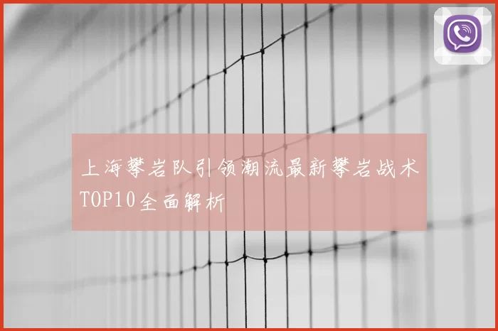 上海攀岩队引领潮流最新攀岩战术TOP10全面解析