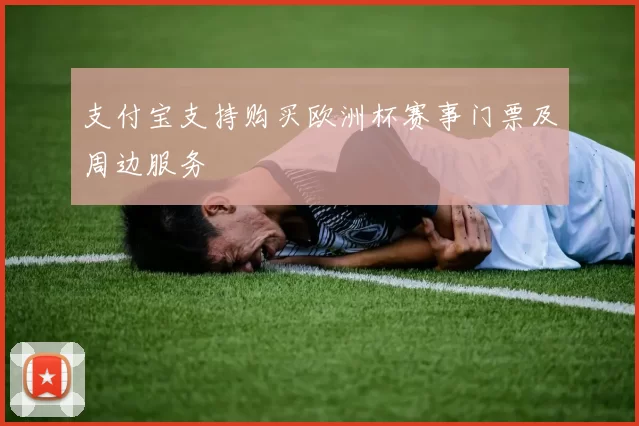 支付宝支持购买欧洲杯赛事门票及周边服务