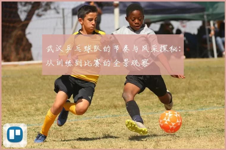 武汉乒乓球队的节奏与风采探秘：从训练到比赛的全景观察