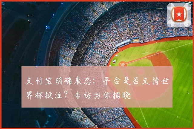 支付宝明确表态:平台是否支持世界杯投注?专访为你揭晓