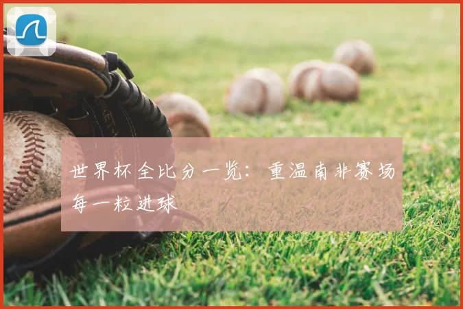世界杯全比分一览：重温南非赛场每一粒进球