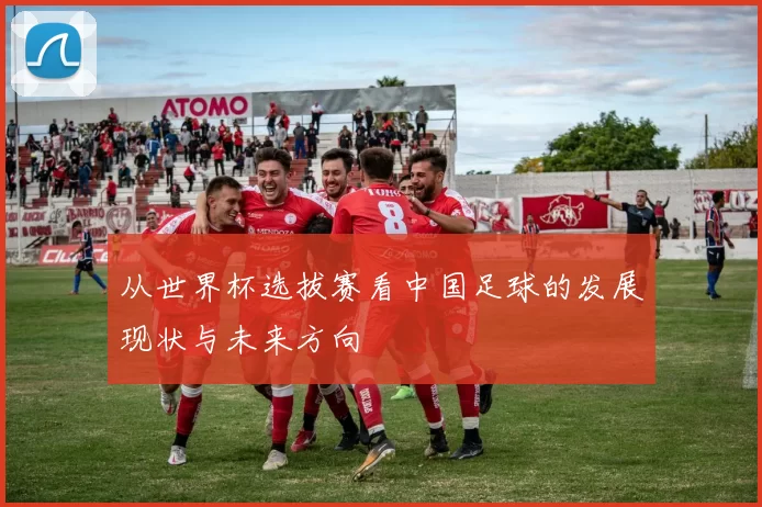 从世界杯选拔赛看中国足球的发展现状与未来方向