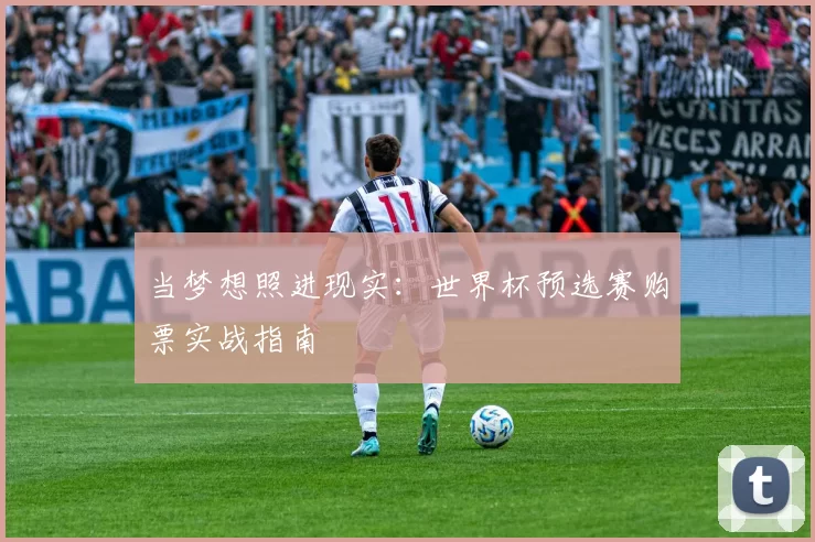 当梦想照进现实:世界杯预选赛购票实战指南