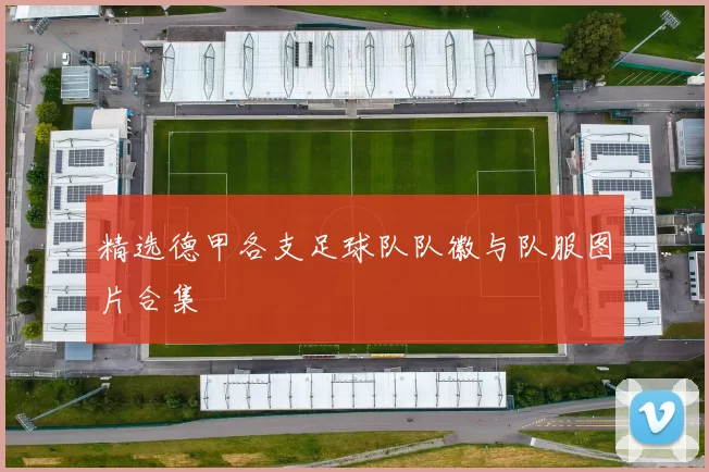 精选德甲各支足球队队徽与队服图片合集
