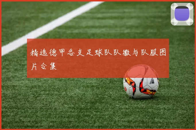 精选德甲各支足球队队徽与队服图片合集