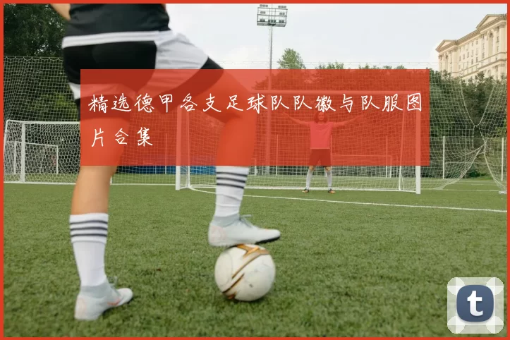 精选德甲各支足球队队徽与队服图片合集
