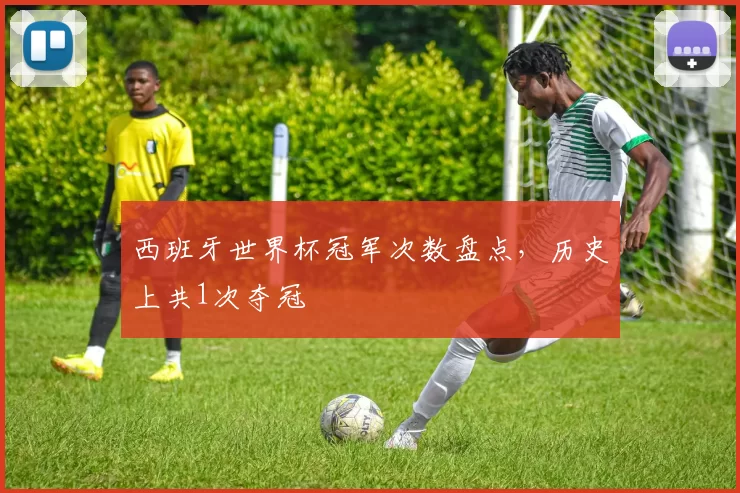 西班牙世界杯冠军次数盘点,历史上共1次夺冠