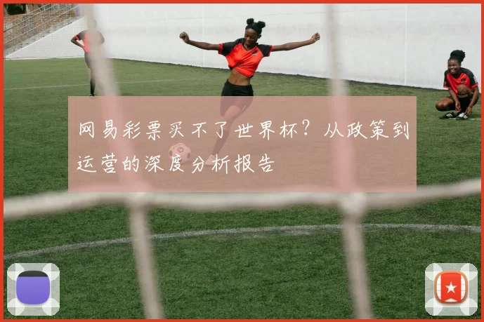 网易彩票买不了世界杯?从政策到运营的深度分析报告