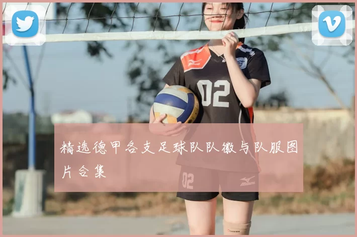 精选德甲各支足球队队徽与队服图片合集