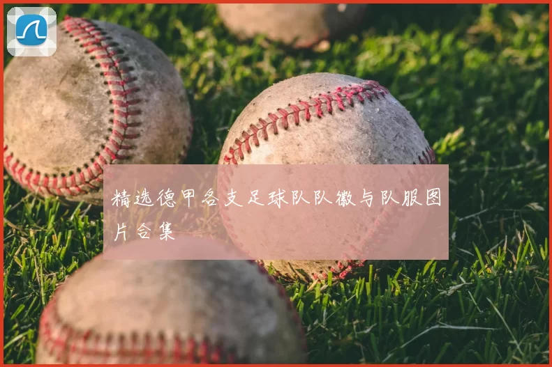 精选德甲各支足球队队徽与队服图片合集