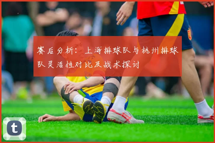 赛后分析:上海排球队与杭州排球队灵活性对比及战术探讨