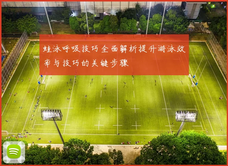 蛙泳呼吸技巧全面解析提升游泳效率与技巧的关键步骤