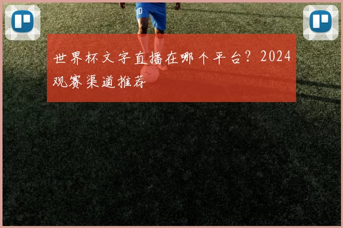 世界杯文字直播在哪个平台?2024观赛渠道推荐