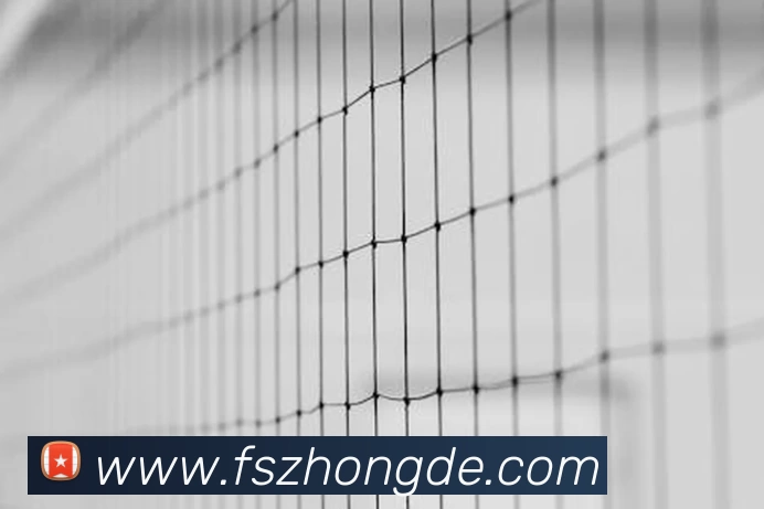 十大信誉好的平台发展历程